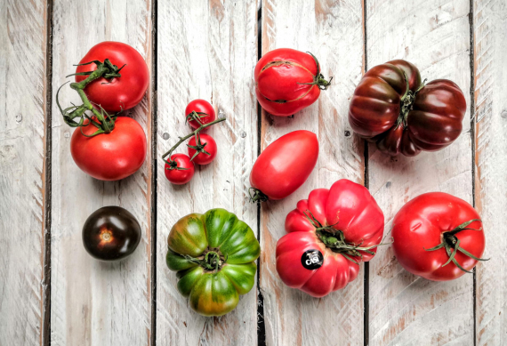 Eine Übersicht der beliebtesten spanischen Tomatensorten